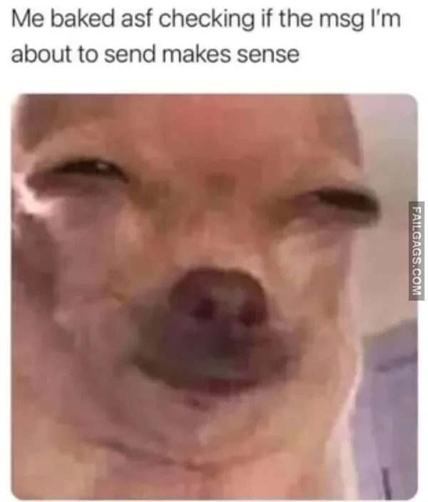stoner memes 3