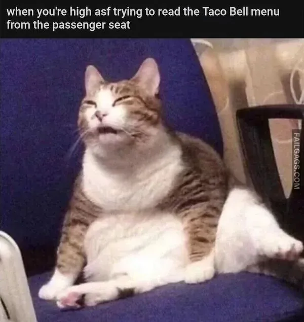 stoner memes 6
