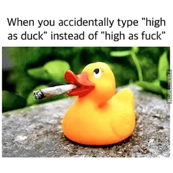 stoner memes 8