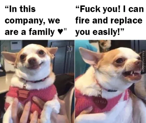 Dank Memes 10 1