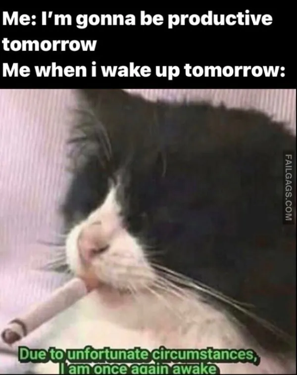 Dank Memes 4