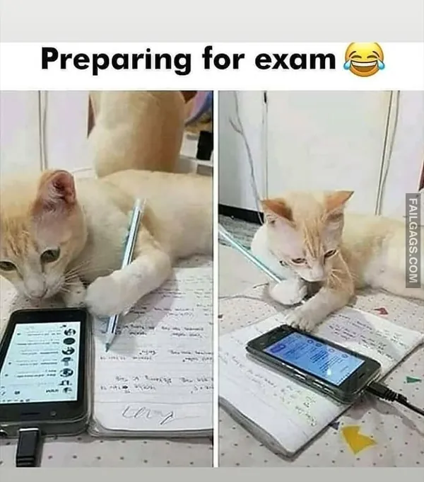 Funny Hindi Memes 6 3