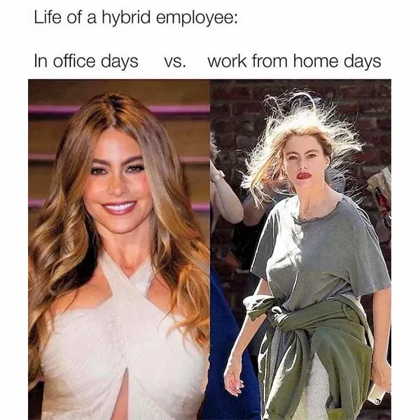 Funny Memes 1 2