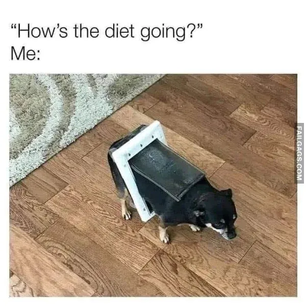 Funny Memes 10 5