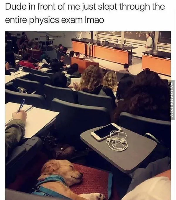 Funny Memes 10 8