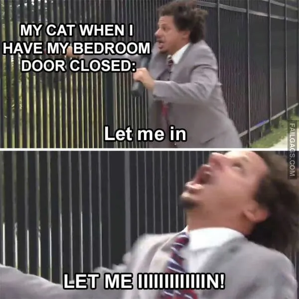 Funny Memes 11 3