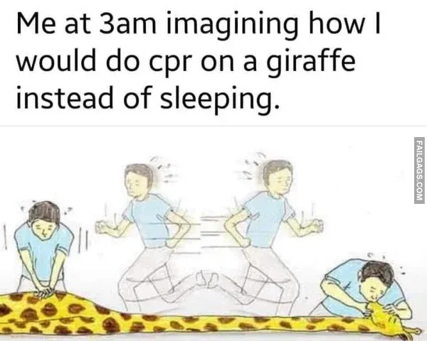 Funny Memes 12 1