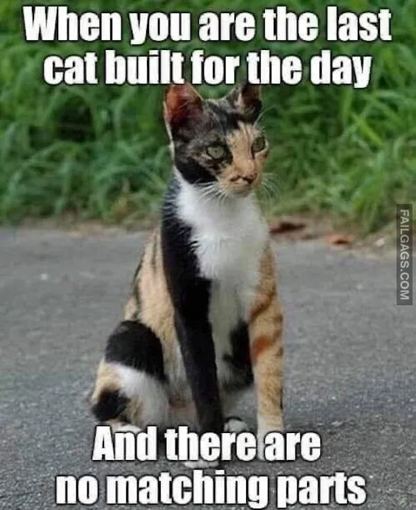 Funny Memes 2 2