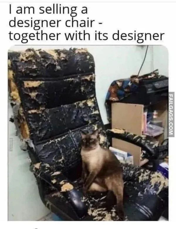 Funny Memes 4 2