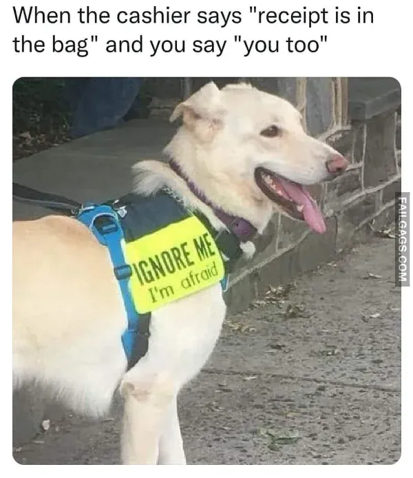 Funny Memes 4 5
