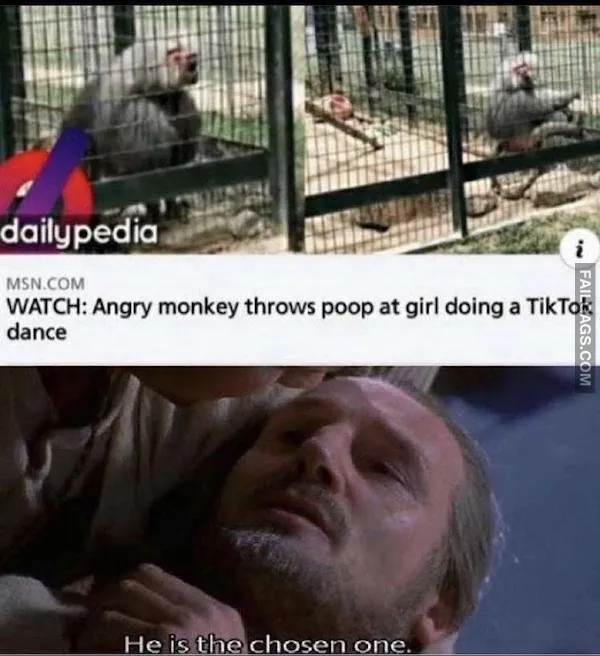 Funny Memes 5 4