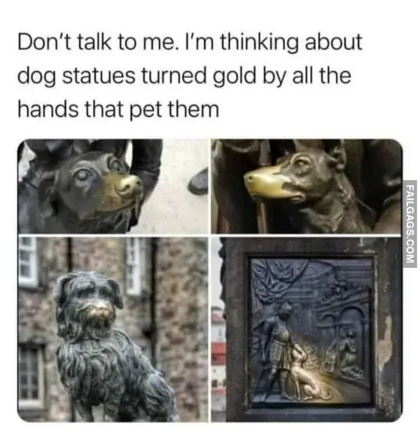 Funny Memes 5 8