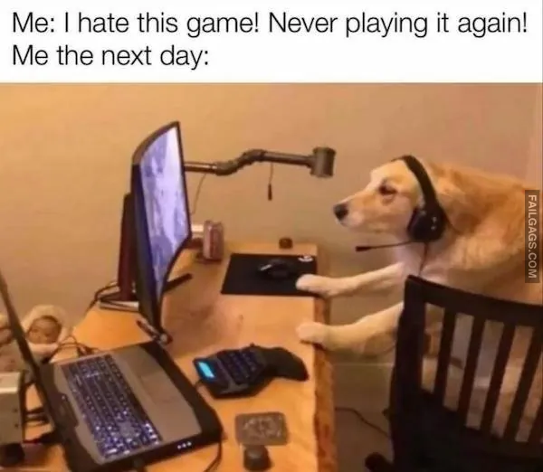 Funny Memes 6 4