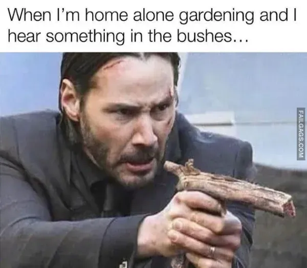 Funny Memes 6 5