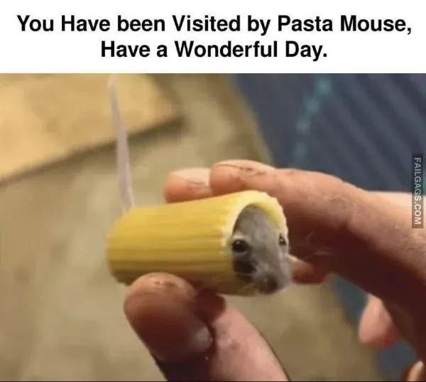 Funny Memes 6 8
