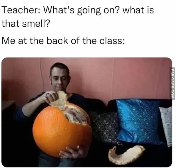 Funny Memes 8 5