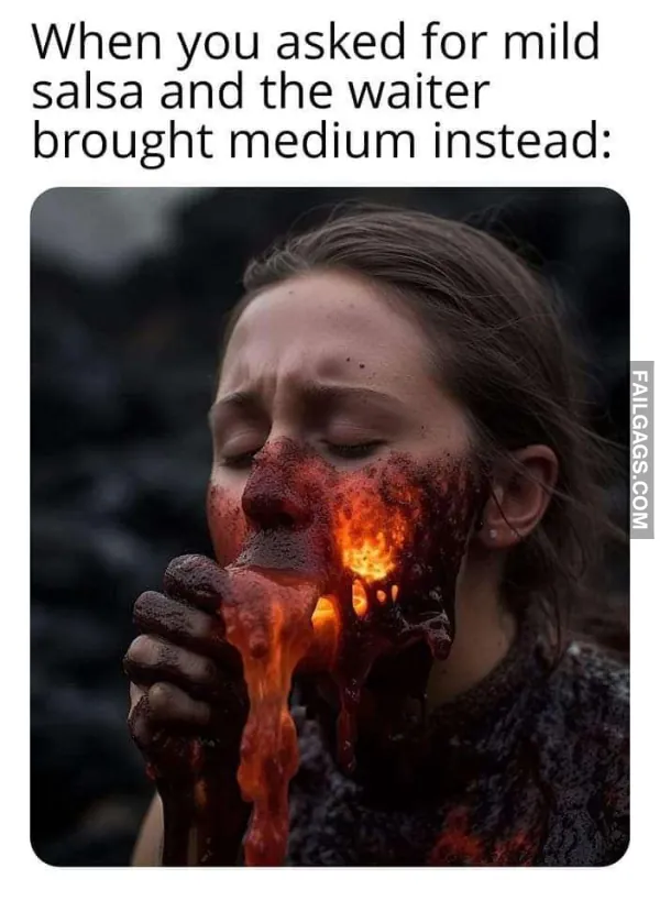 Funny Memes 8 8
