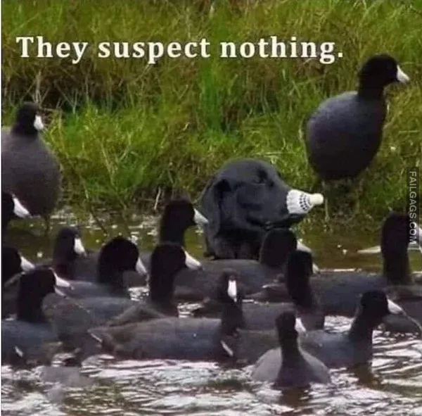 Funny Memes 9 2