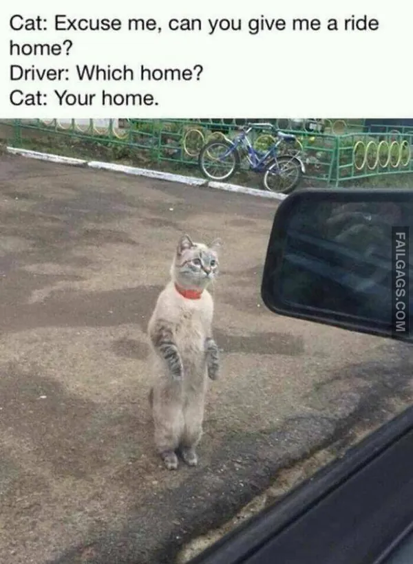 Funny Memes 9 4