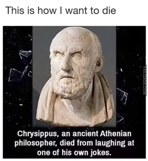 Funny Memes 9 8