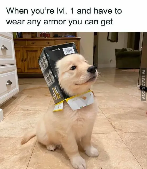 Funny Memes for Gamers 5