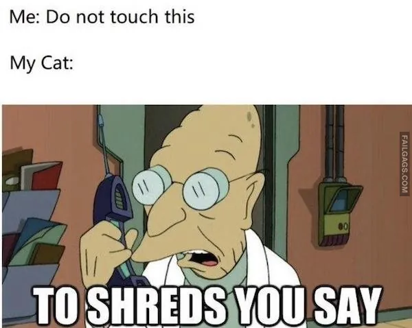 So True Memes 6