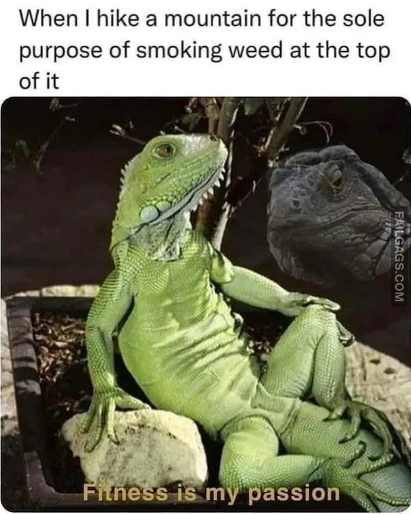 So True Memes 7