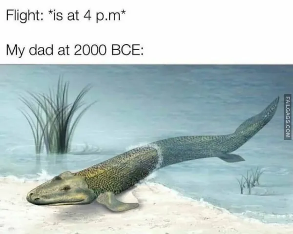So True Memes 8 1