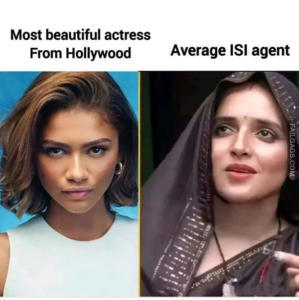 Funny Hindi Memes (11)