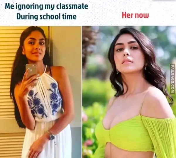 Funny Hindi Memes (8)