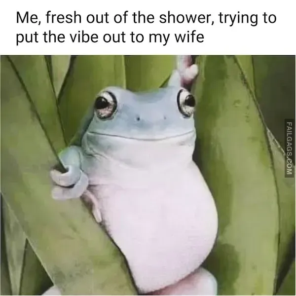 Funny Husband Memes (9)