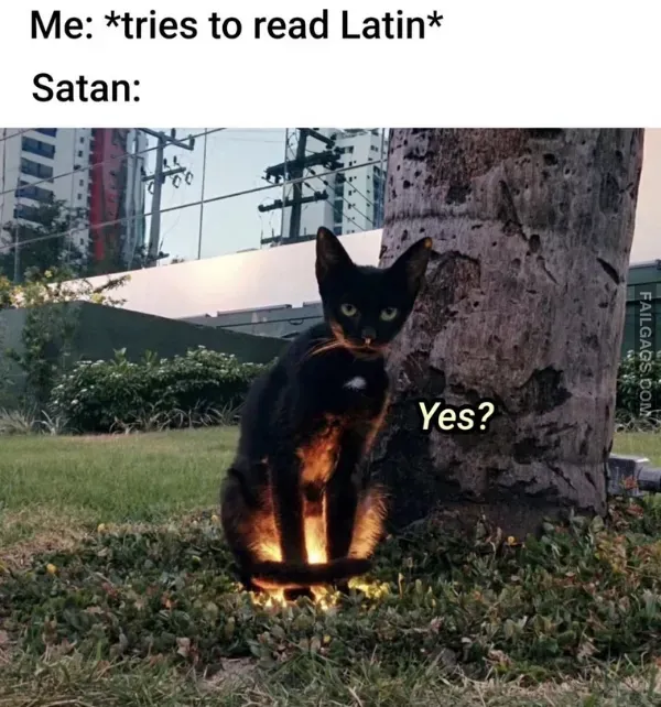 Funny Memes (10)