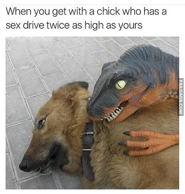 Funny Memes (11)