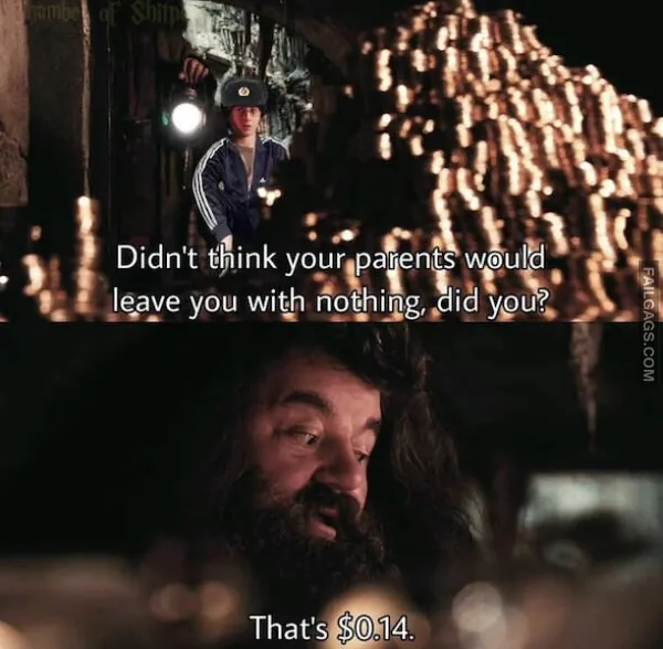 Harry Potter Memes 3