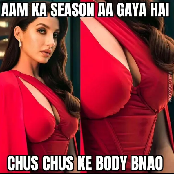 Hindi Adult Memes 12
