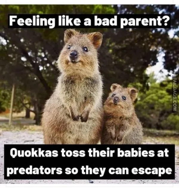 Parenting Memes 11