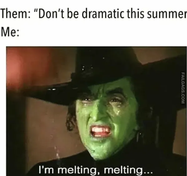 Summer Memes 3