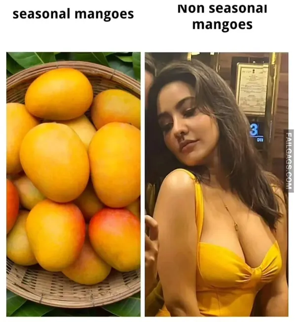 18+ Dirty Hindi Memes (6)