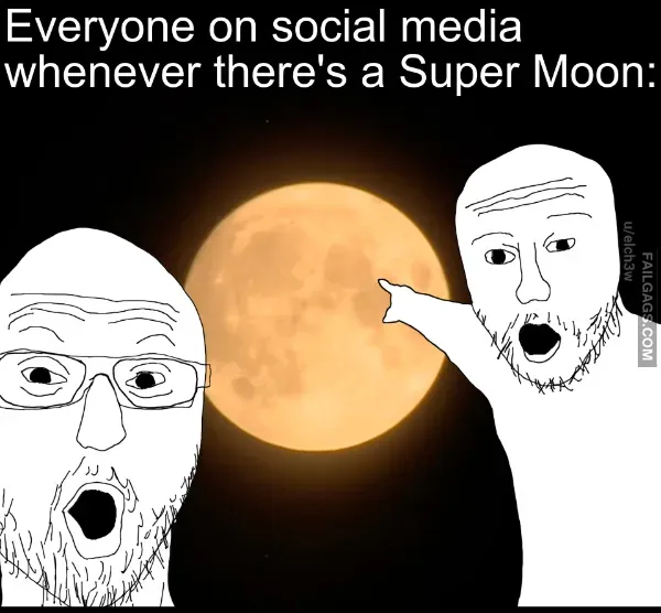 Dank Memes (3)