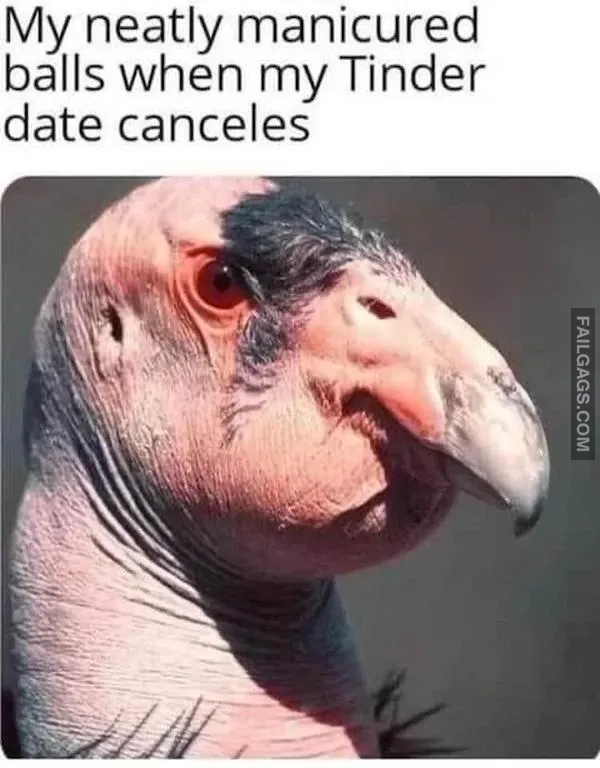 Dirty Memes (12)
