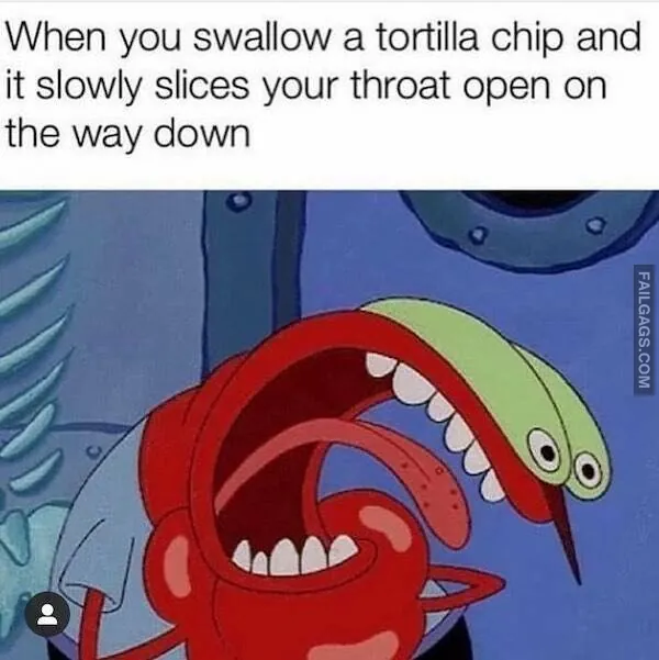 Funny Food Memes (2)