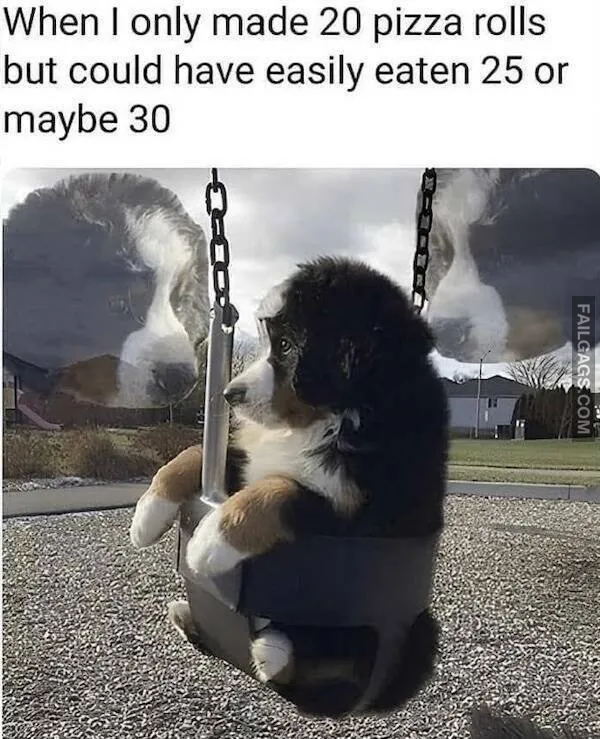 Funny Food Memes (6)