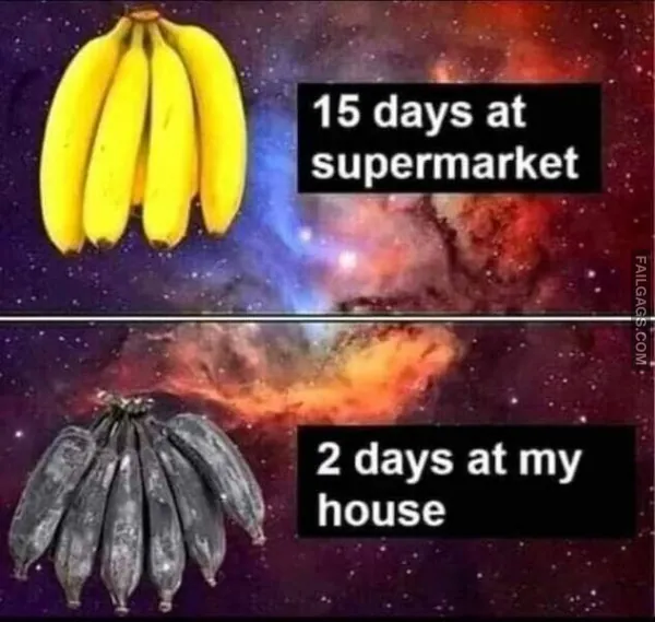 Funny Food Memes (8)