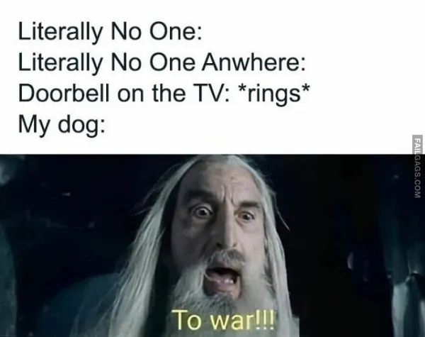 Funny LOTR Memes (10)