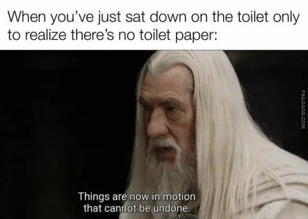 Funny LOTR Memes (4)