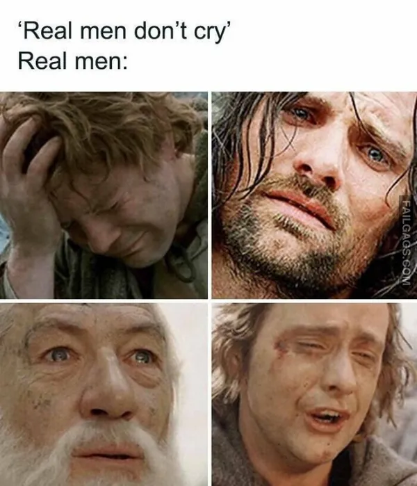 Funny LOTR Memes (5)
