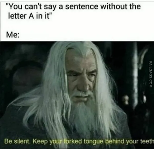Funny LOTR Memes (6)