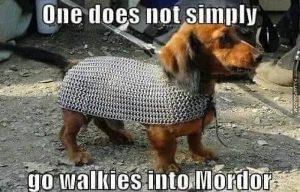 Funny LOTR Memes (7)