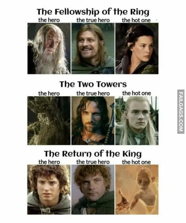 Funny LOTR Memes (9)