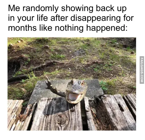Funny Memes (8)
